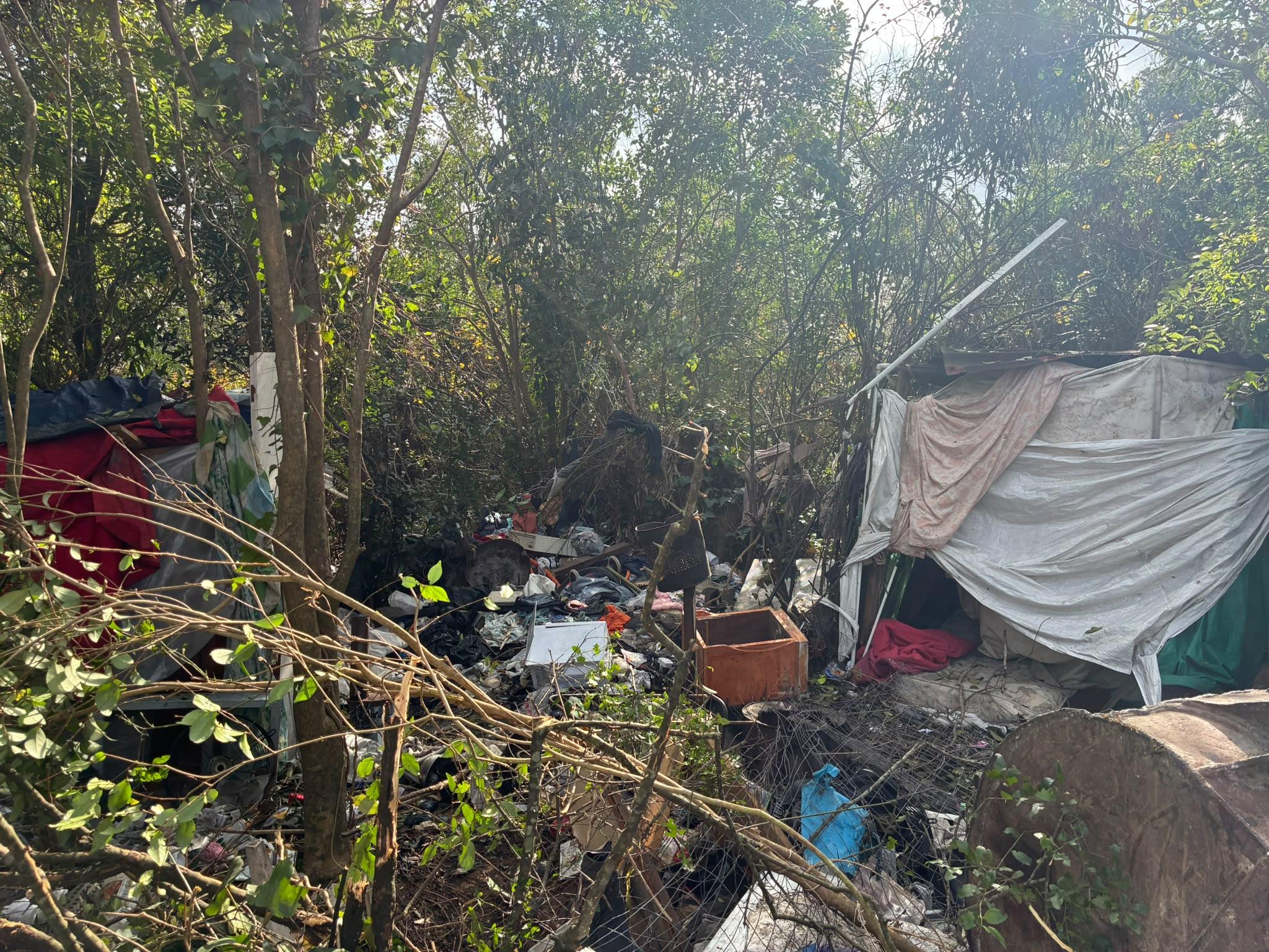Imagen 1 de la galería