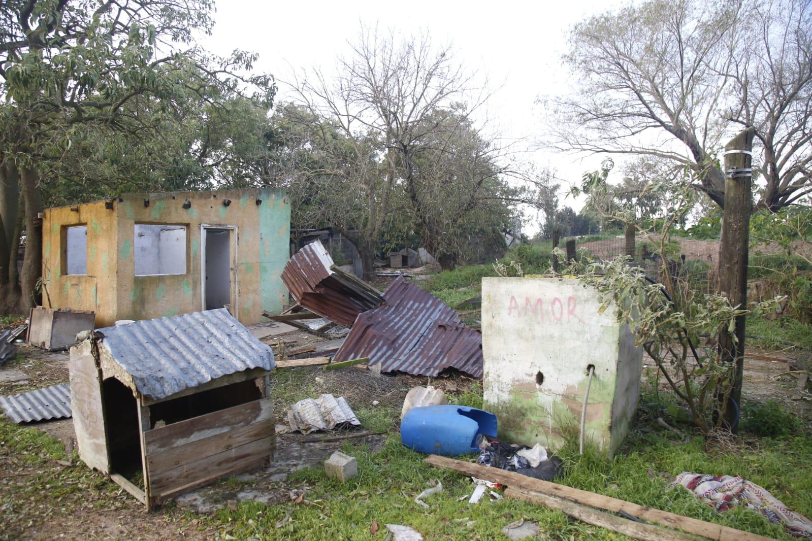 Imagen 1 de la galería