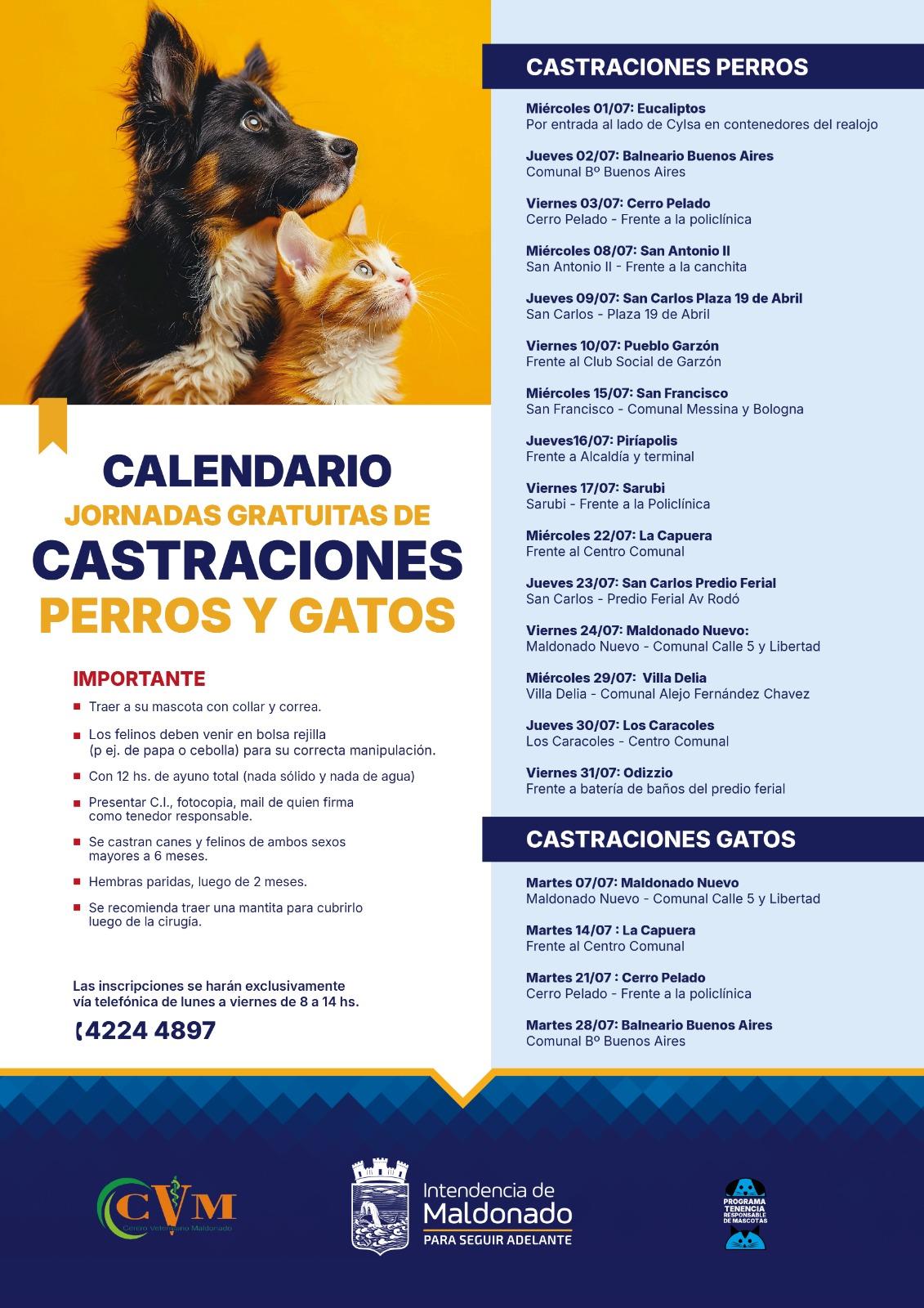 Imagen 1 de la galería