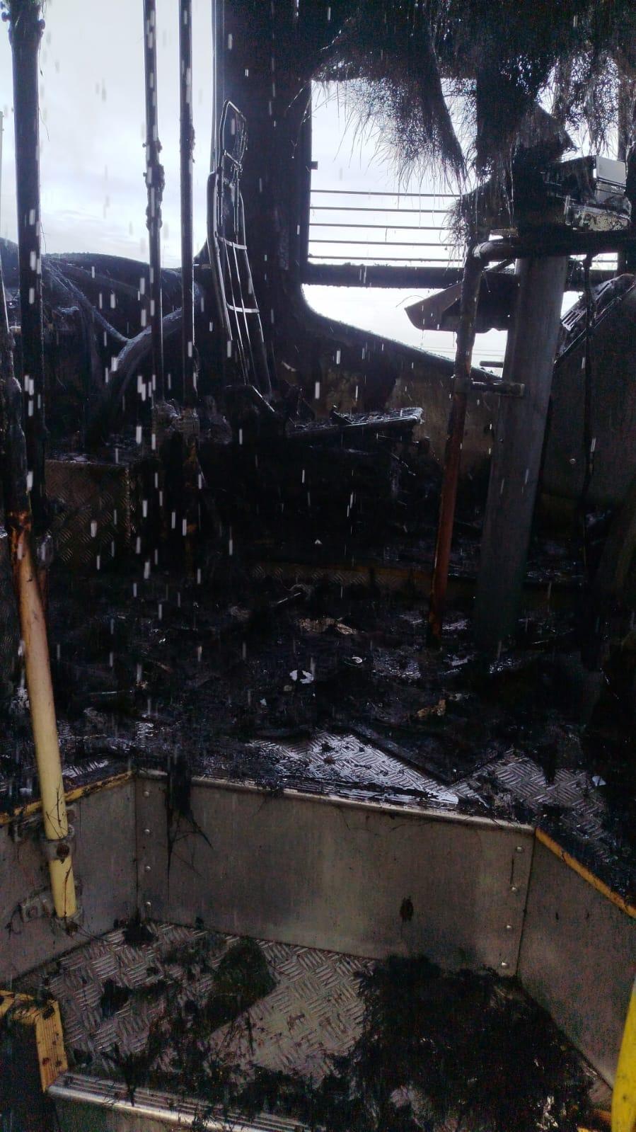 Imagen 3 de la galería