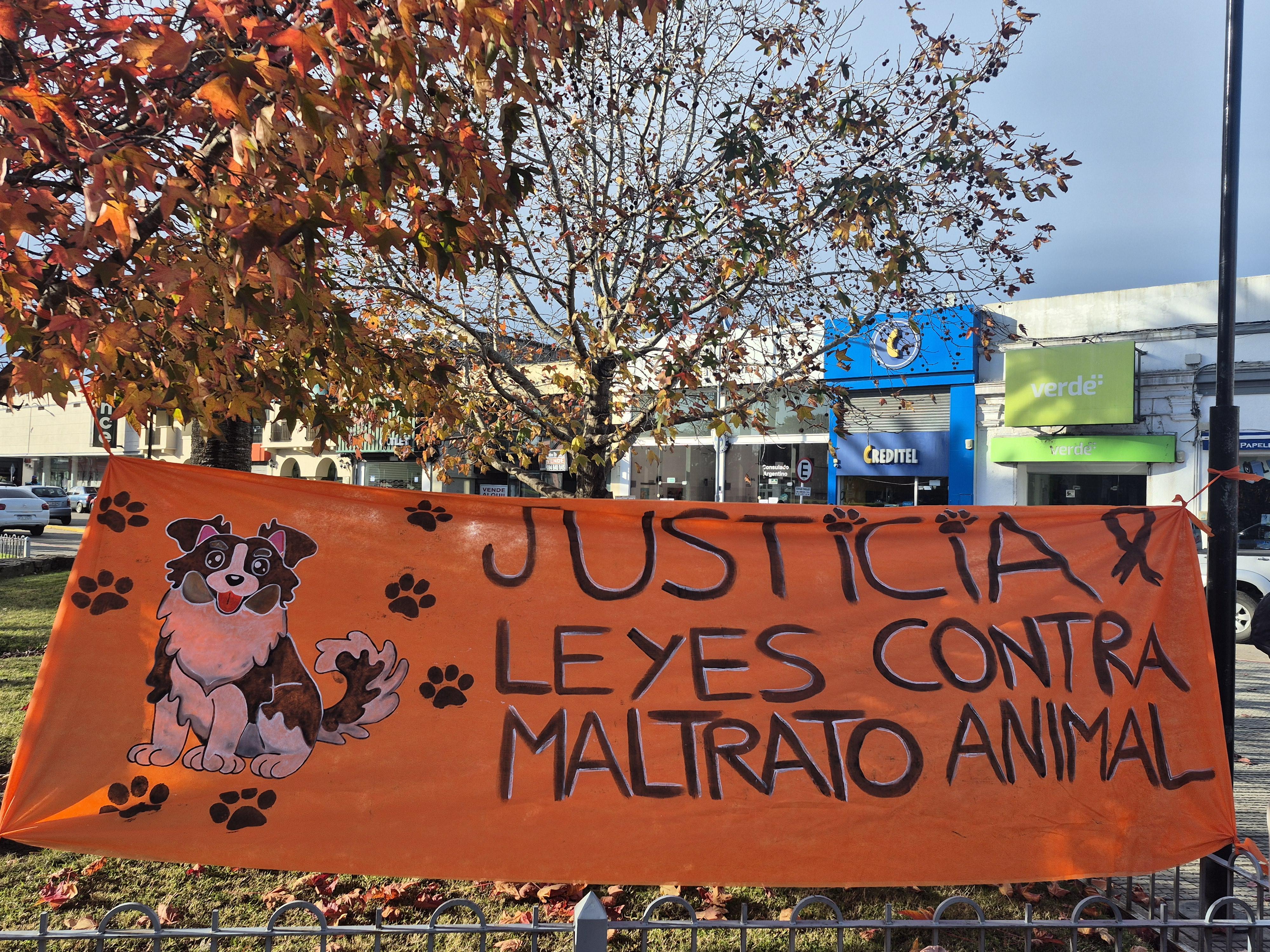 Imagen 1 de la galería
