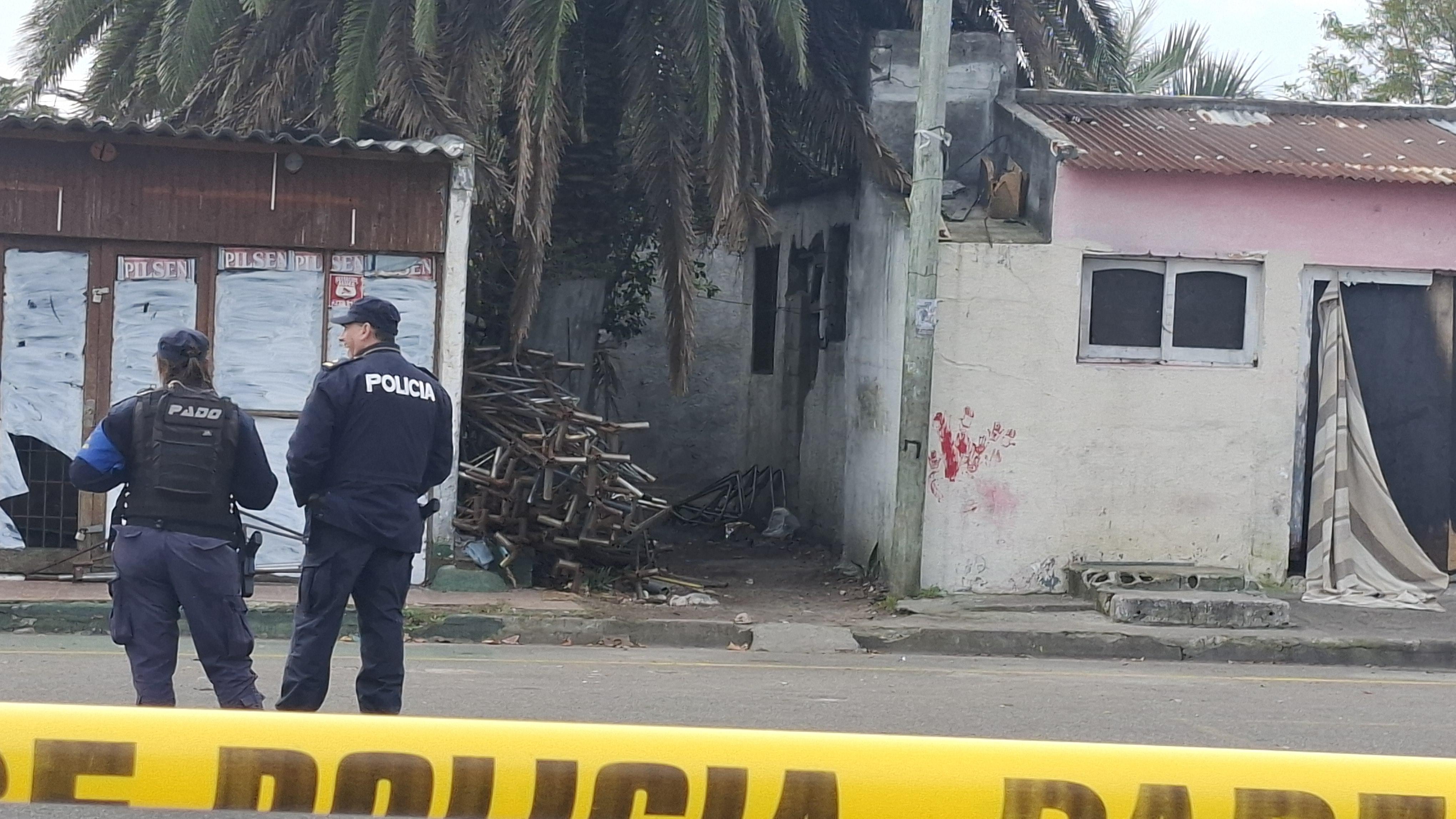 Imagen 1 de la galería