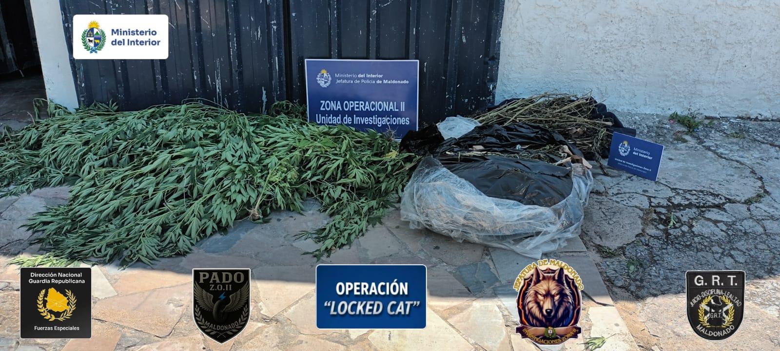 Imagen 1 de la galería