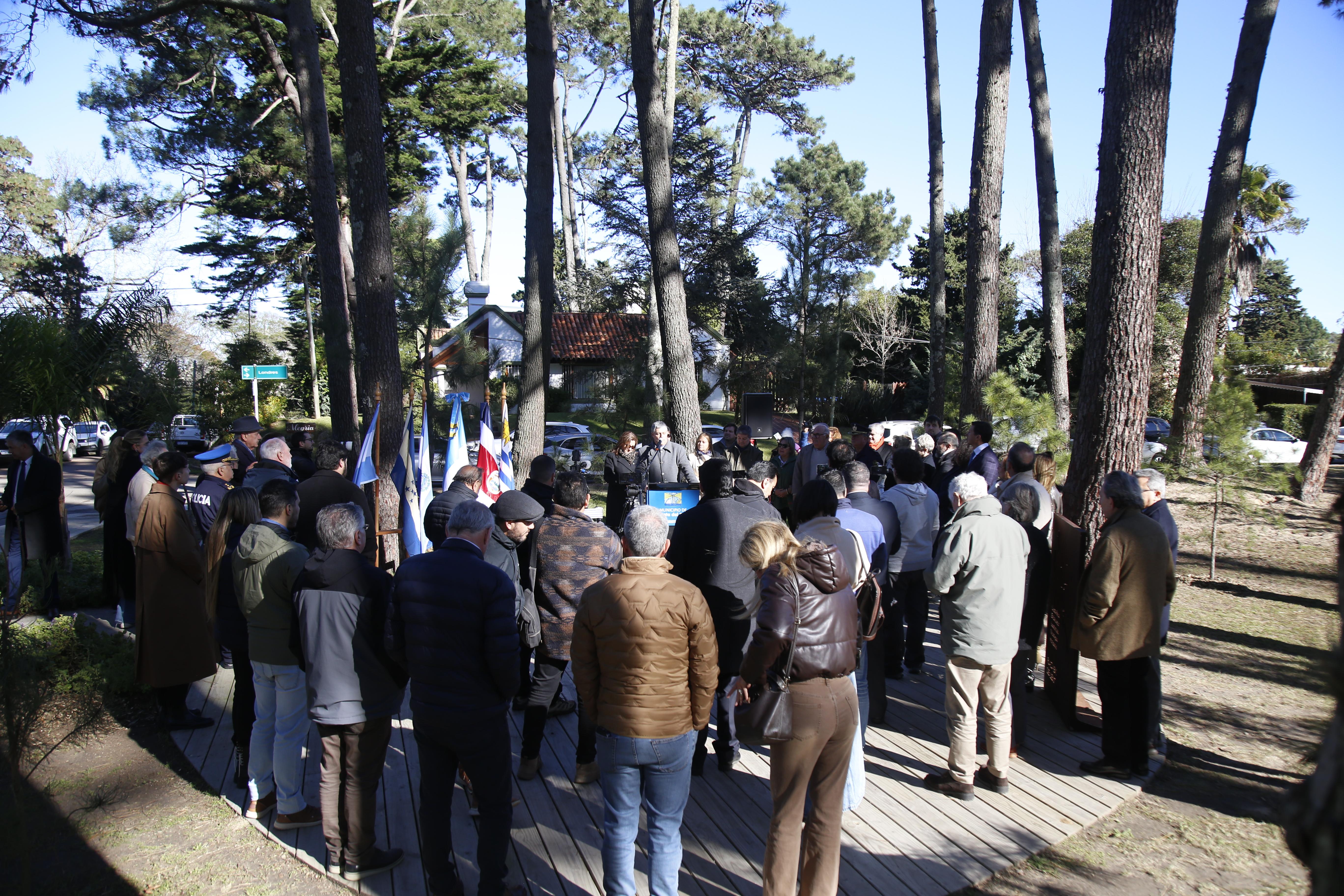 Imagen 2 de la galería