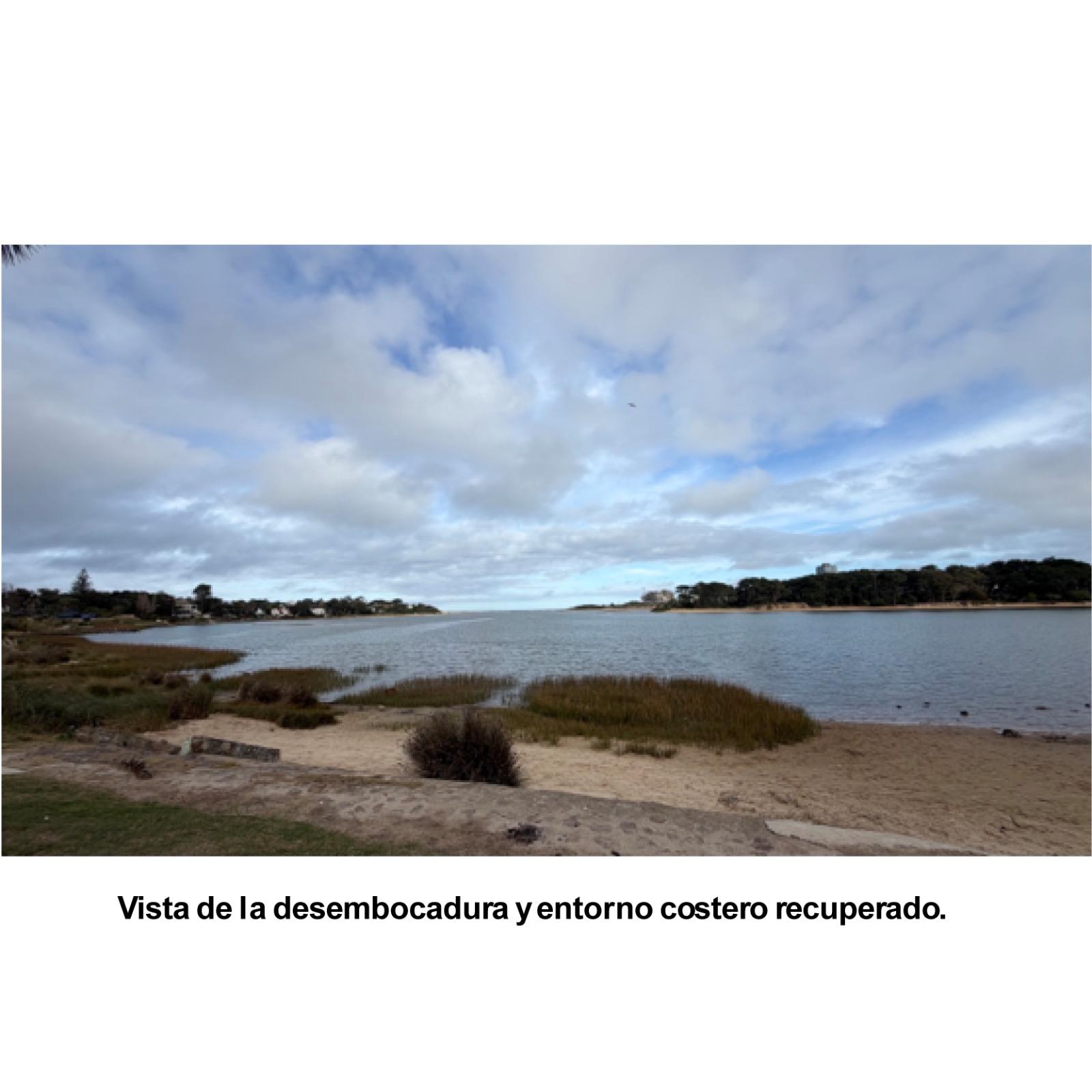 Imagen 4 de la galería