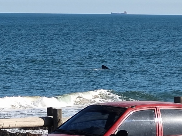 Imagen 1 de la galería