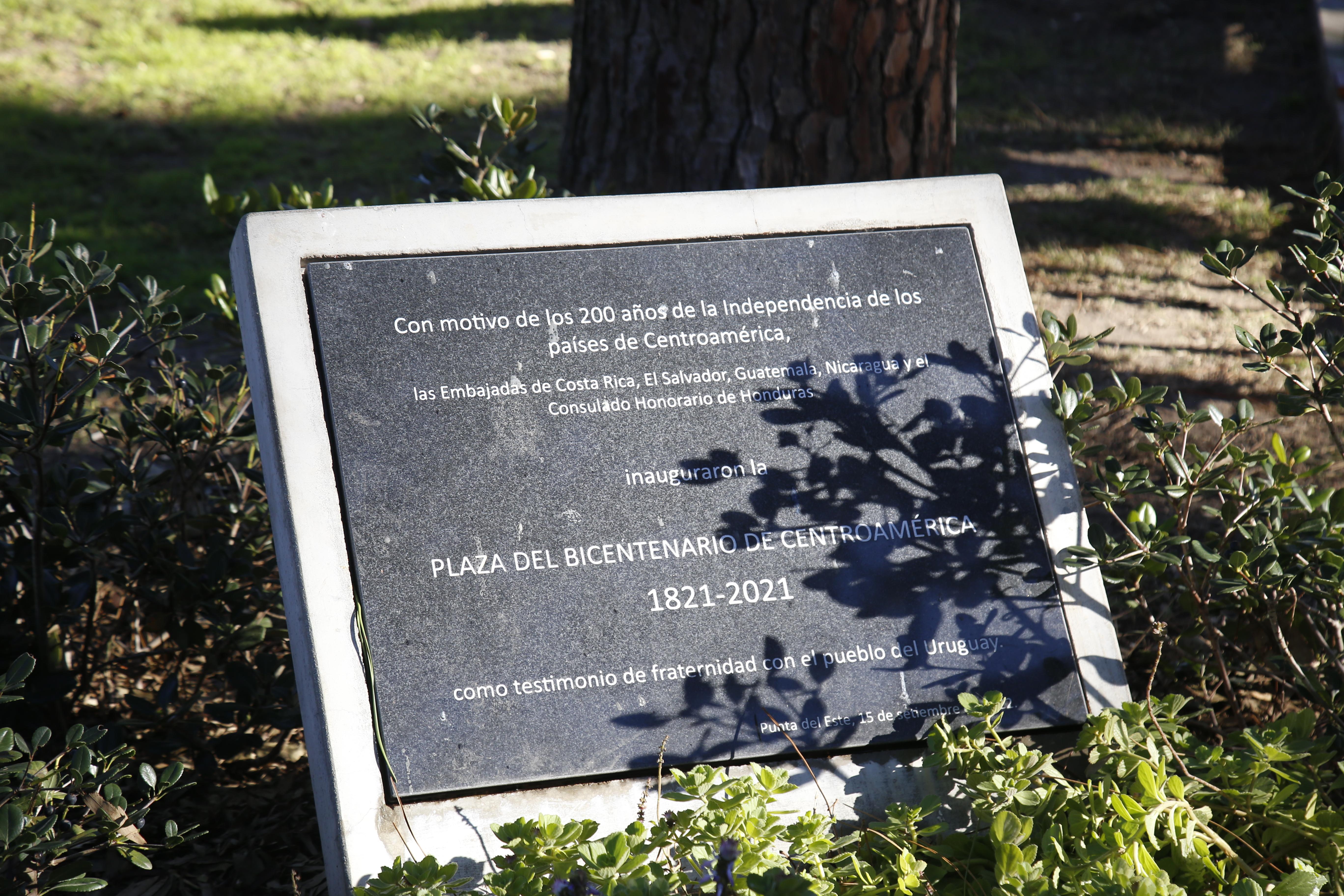 Imagen 3 de la galería