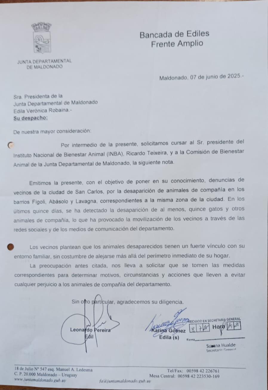 Imagen 1 de la galería