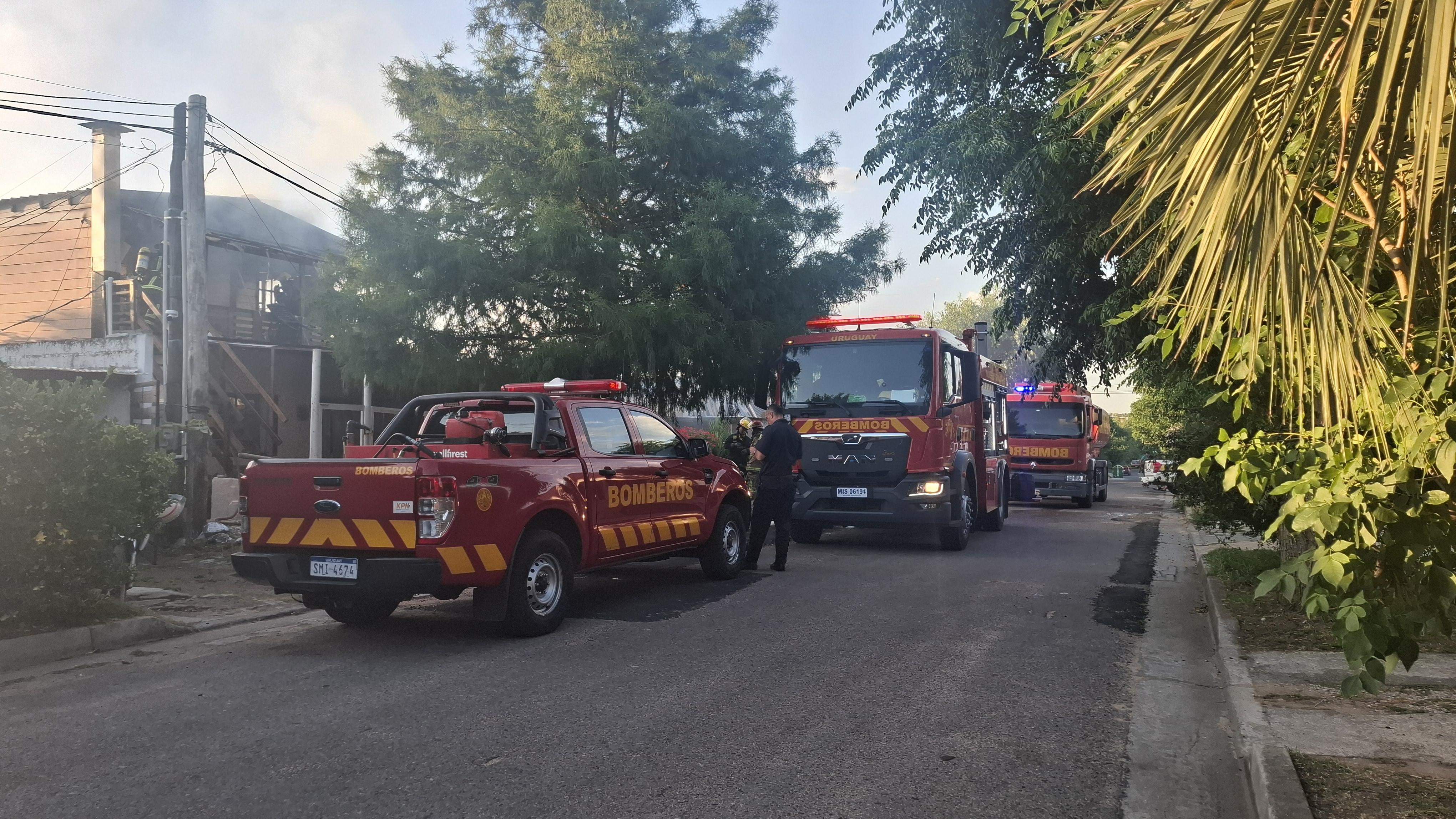 Imagen 2 de la galería