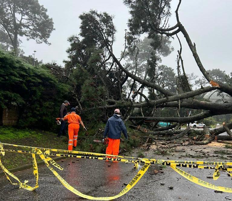Imagen 2 de la galería