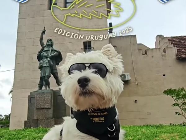 Se viene el Festival de Canes a Punta Shopping con entrada gratuita