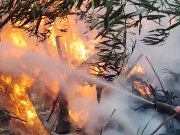 incendio, vertedero, balneario buenos aires