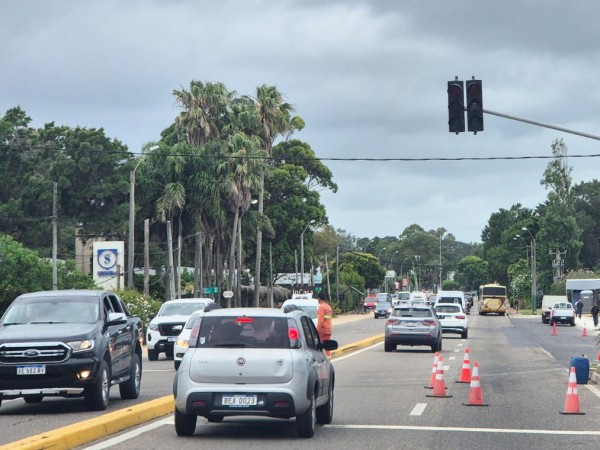 semáforos, la barra, antía