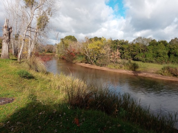 Municipio de Aiguá pagará $12 mil mensuales a propietaria de terreno donde funciona el Parque Rubén Darío Olivera