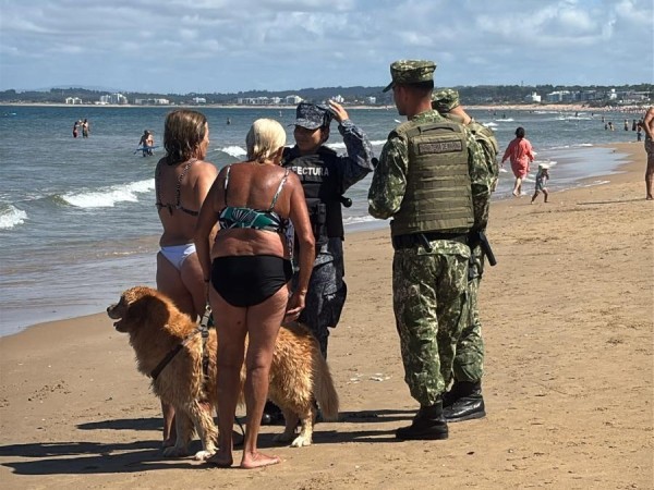 Prefectura de Punta del Este lleva centenar de notificaciones en lo que va de la temporada por presencia de perros en playas no habilitadas