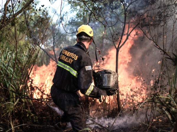 CECOED,riesgo,incendio,ola,calor