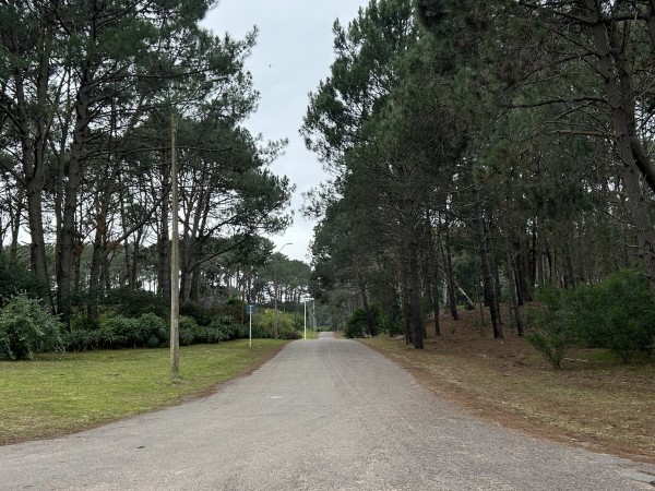 Vecinos rechazan la venta de la calle Laguna Merín aprobada por la Junta de Maldonado
