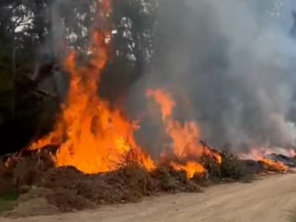 Se incendió “punto verde” en Playa Hermosa