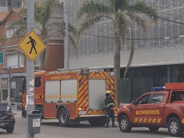 Falsa amenaza de bomba en el World Trade Center de Punta del Este