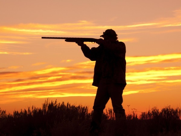 Aseguran que hay unas 350.000 personas habilitadas para tener armas en Uruguay