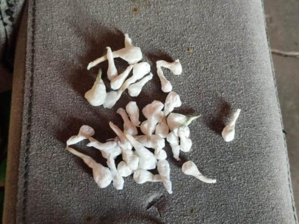 Dos años de prisión para responsable de una boca de venta de drogas de San Carlos
