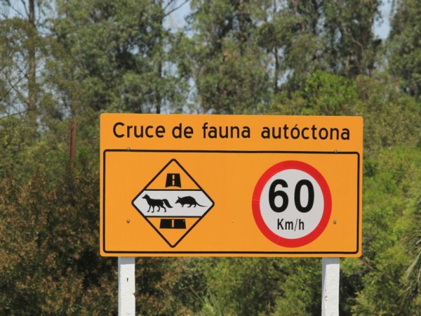 cruce de fauna autóctona, maldonado, frente amplio, decreto,