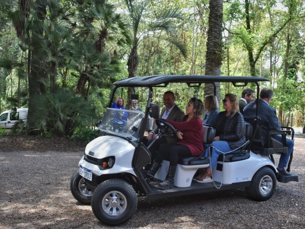 arboretum lussich, paseo, bosque