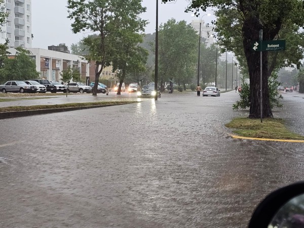 monitorea situación, calles, anegamientos, cantidad de lluvias,