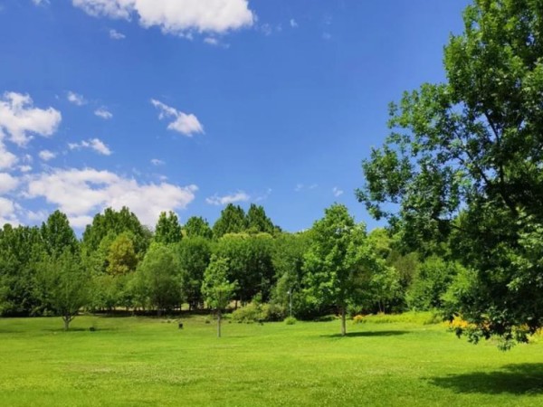 Intendencia de Maldonado otorgará un "Sello Verde" a empresas con compromiso ambiental