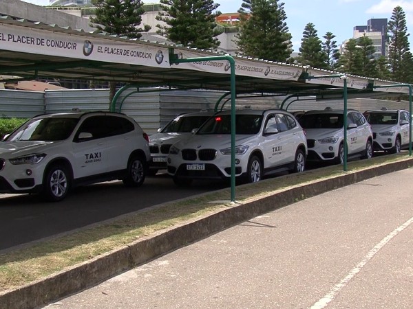 Taxis de Maldonado evalúan integrarse a plataformas tecnológicas como Uber y Cabify