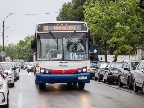 Remedios, transporte público, Maldonado