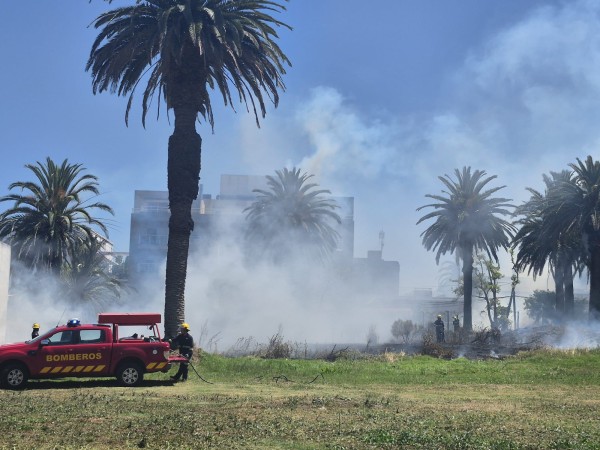 Incendio de grandes dimensiones en terreno baldío de Maldonado