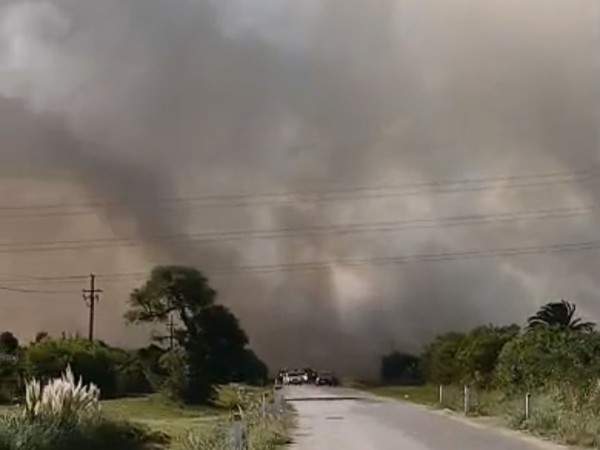 Bomberos trabaja para controlar incendio en San Carlos
