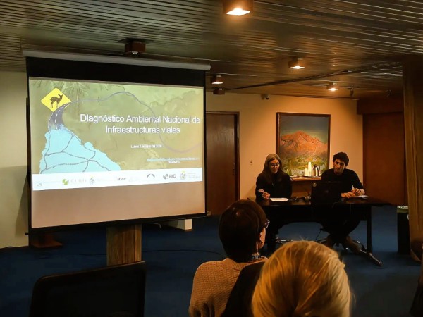 Lanzaron una app que busca reducir el impacto de las rutas sobre la fauna silvestre