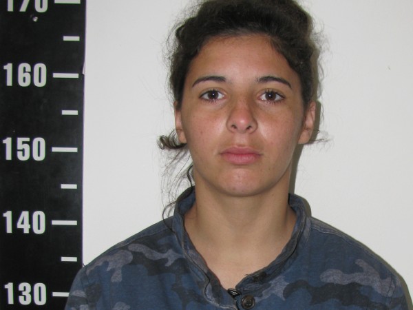 Una pasajera le robó al chofer de un ómnibus interdepartamental: irá a prisión