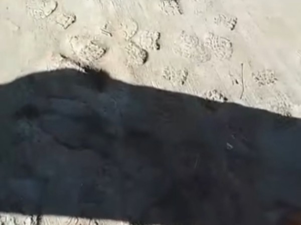 Video: dañaron un tramo recién terminado de la obra en Av. Batlle y Ordoñez y deberán rehacerlo