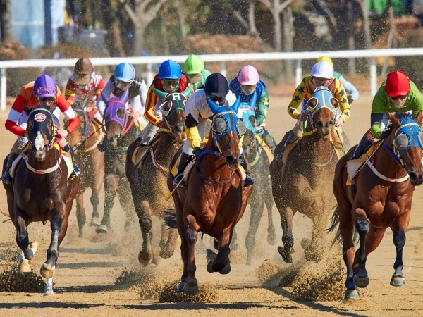 Presentaron oficialmente el proyecto de un hipódromo para San Carlos y será evaluado por la Intendencia