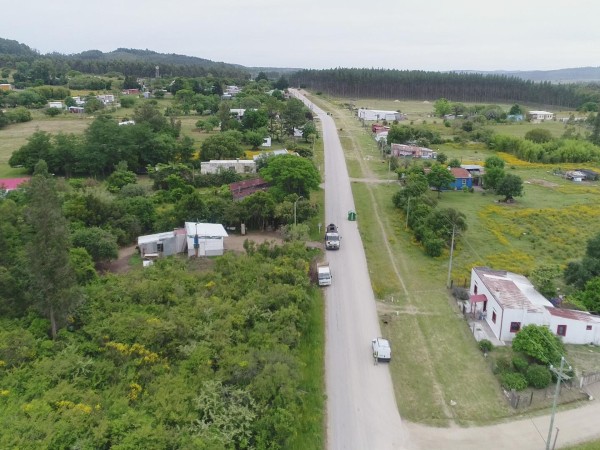 Nueva Carrara se prepara para la Fiesta del Guayabo con espectáculos musicales y actividades para toda la familia