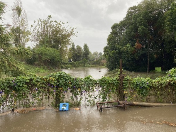 Alcalde de San Carlos habló sobre las inundaciones: “Uno no puede prever la cantidad de agua que cayó en tan poco tiempo”