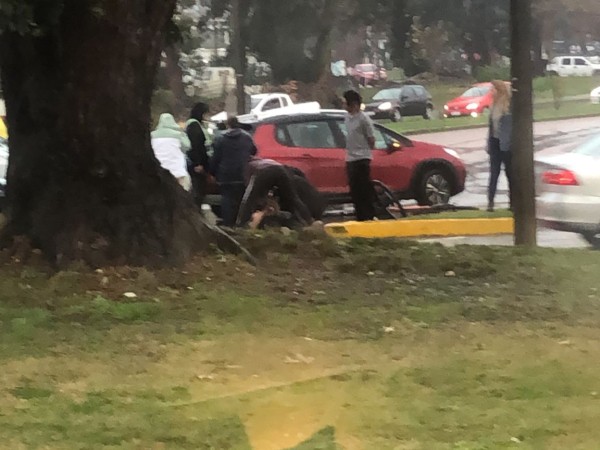 siniestro de tránsito, ciclista, terminal de maldonado,