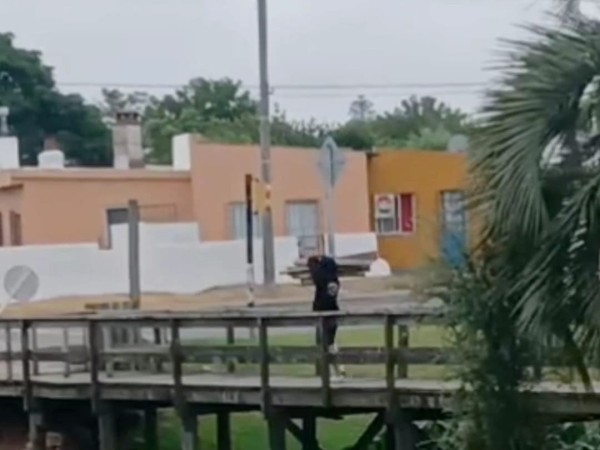 Insólito: se robaron maderas del puente de Bulevar Artigas; Intendencia de Maldonado radicó denuncia