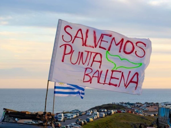 punta ballena, comunicado, Ministerio de Ambiente