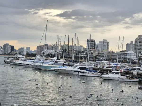 Ministerio de Transporte prepara decreto de ajuste de tarifas para Puerto de Punta del Este