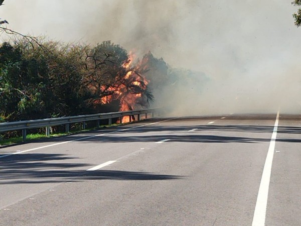 incendio forestal, laguna garzón, maldonado,