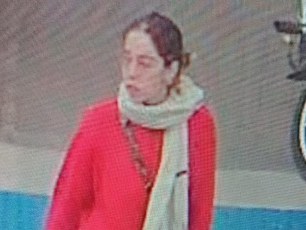 Prefectura se sumó a la búsqueda de la adolescente desaparecida y recorre la costa