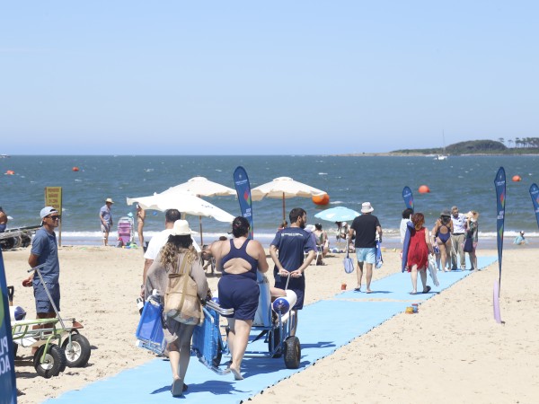 playa accesible, Maldonado, temporadas 2025