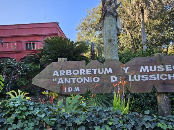 ARBORETUM LUSSICH, MALDONADO