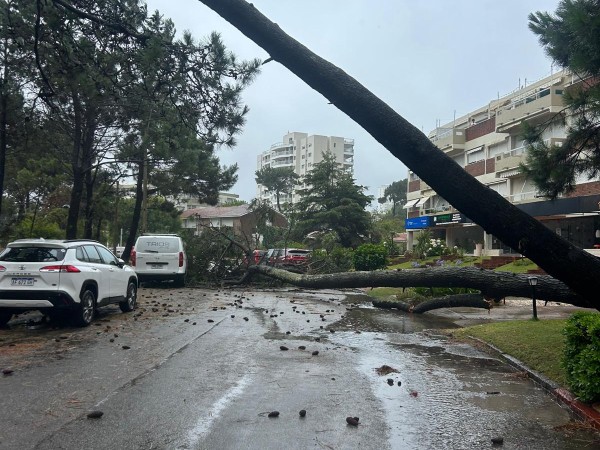 Director de Aseo Urbano habló sobre el ciclón extratropical: “Tuvimos suerte”