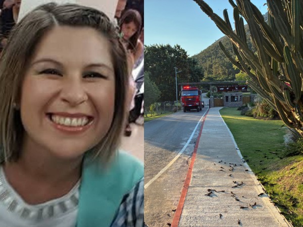 “Profundo pesar”: liceo lamentó muerte de la docente a la que se le cayó un árbol en reserva de Pan de Azúcar