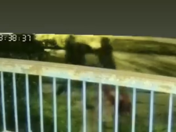 VIDEO| Vecino enfrentó a golpes a hombre señalado como presunto autor de hurtos y daños a vehículos en Maldonado Nuevo